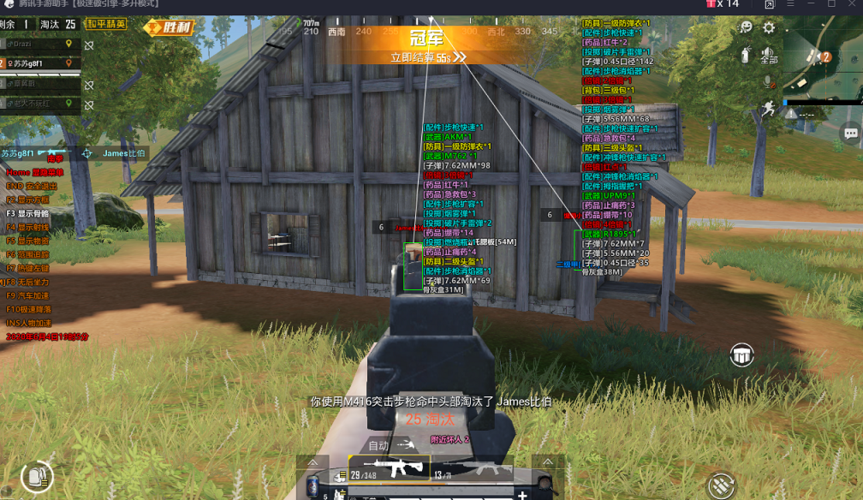 和平精英辅助【内部G简洁版】